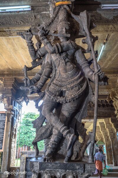 File:மதனகோபாலன் சிவன் சன்னதி.jpg