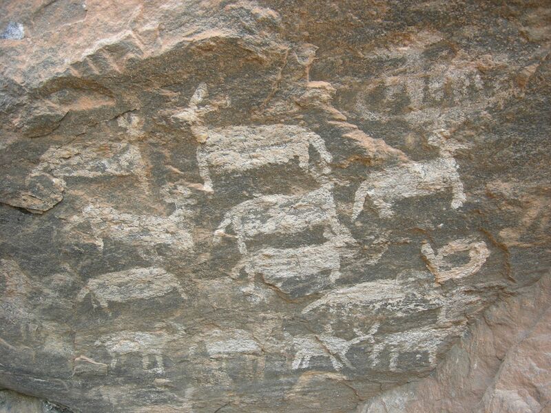 File:கரிக்கையூர் மான்கள்-கூட்டம்.jpg