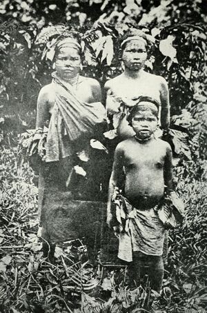 Pagan races of the Malay Peninsula (1906) (14594908837).jpg